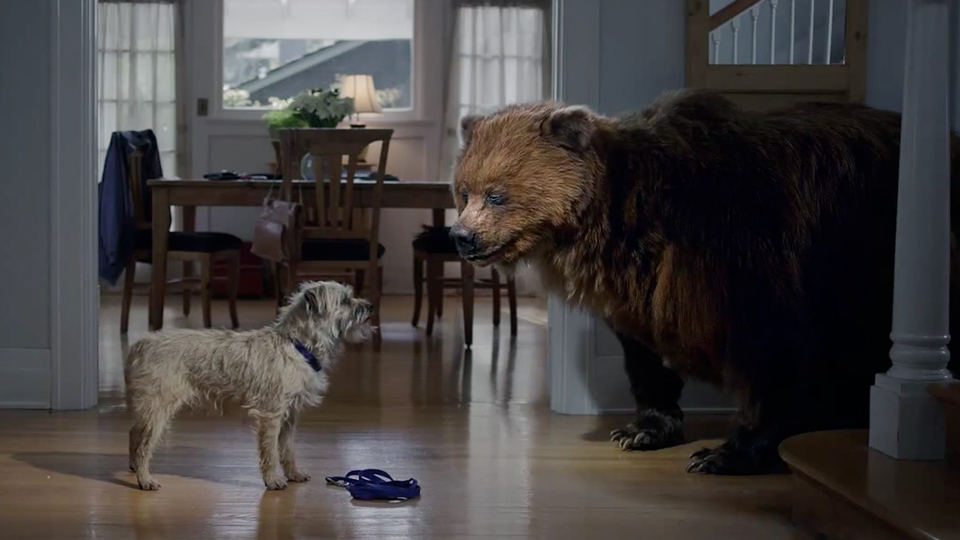 bear3