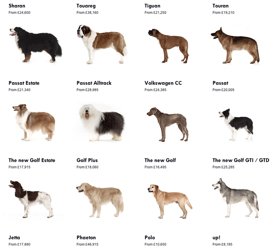 Volkswagen Dogs