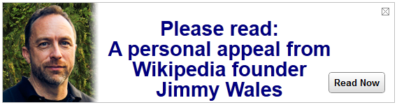 jimmy-wales-wikipedia-screen-shot