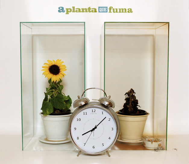 planta2 planta2