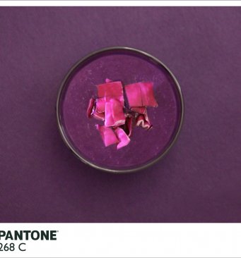 Sopa de repolho vermelho