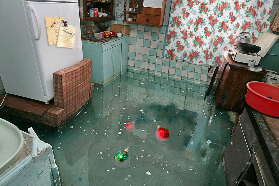 481874_260937294031816_321873484_n