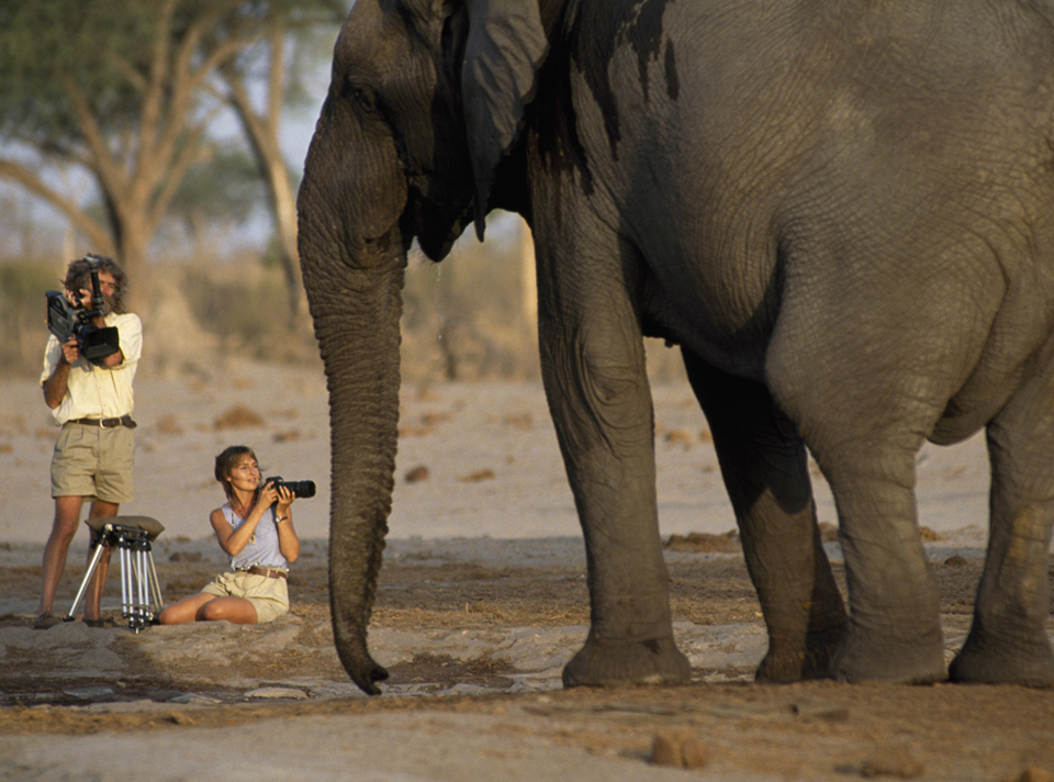 NGS Picture ID:367463