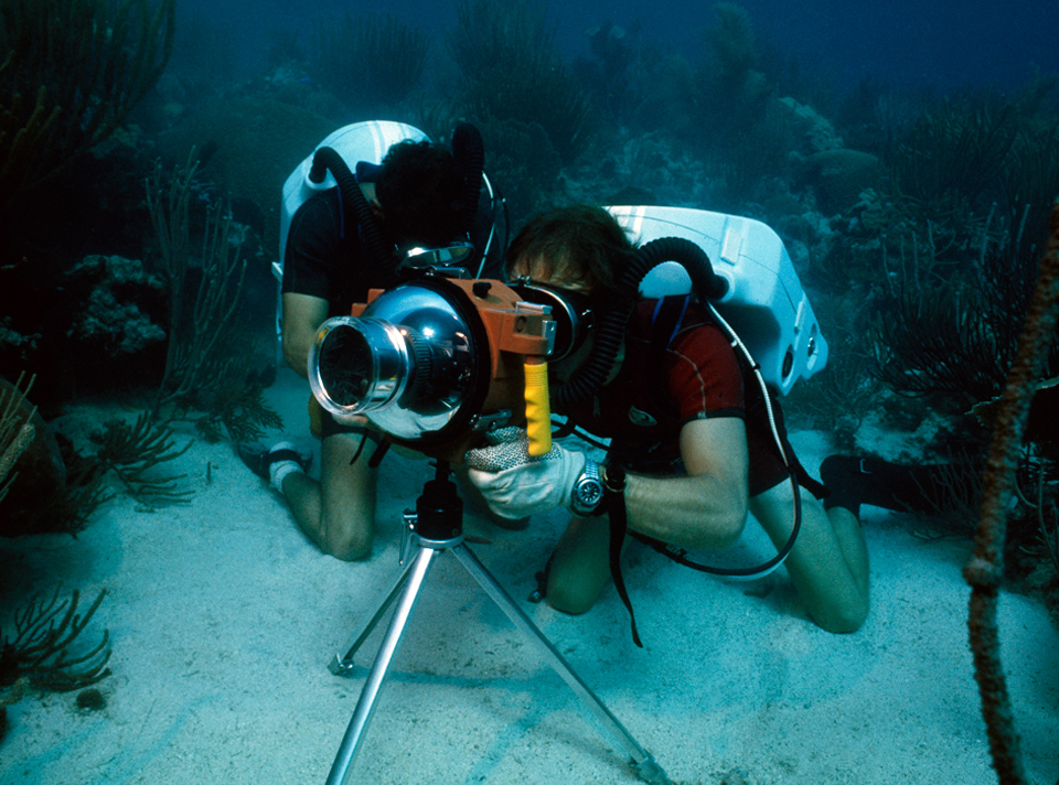 NGS Picture ID:1041185