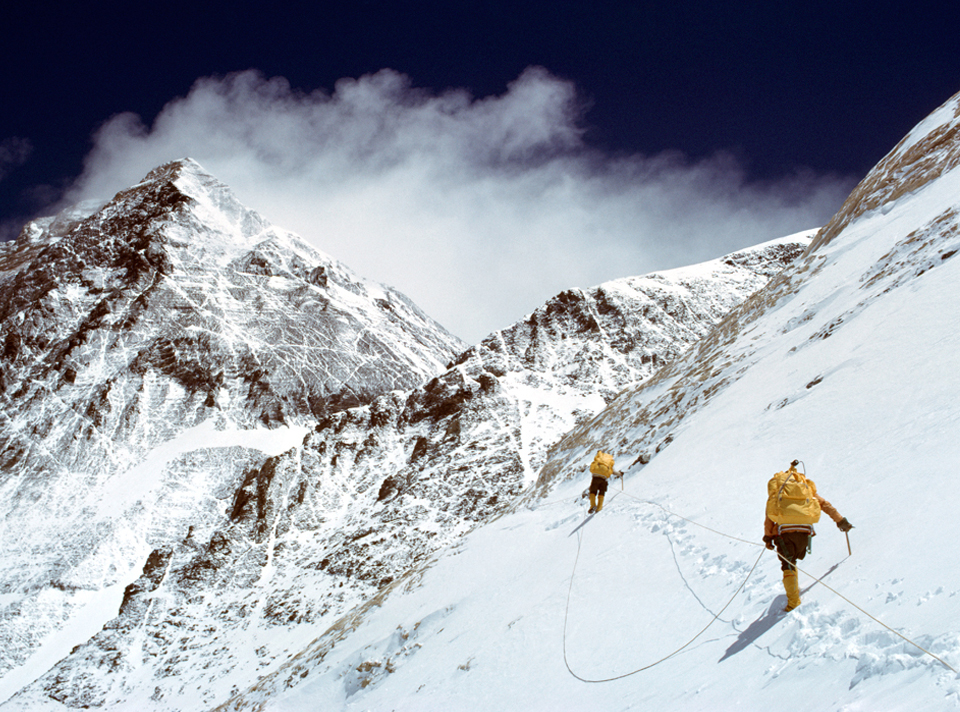 NGS Picture ID:1034497