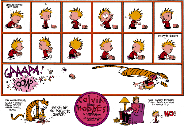 Calvin e Hobbes