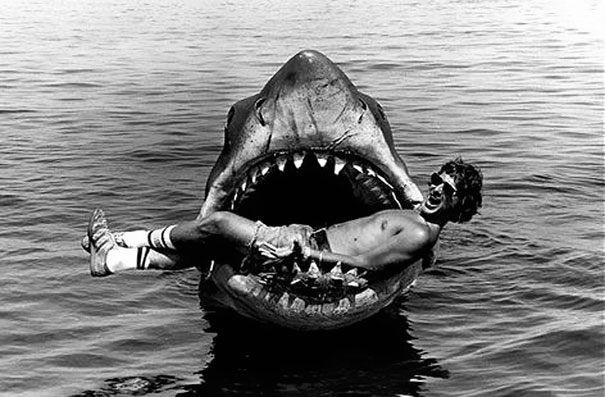 Jaws