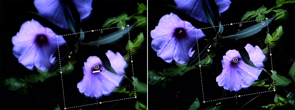 Adobe Photoshop Shake Reduction