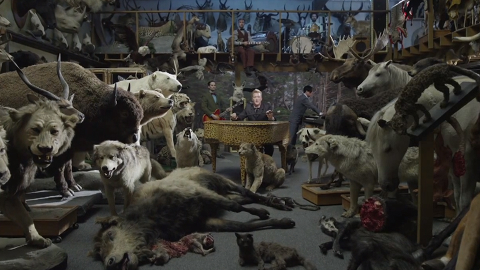 qost-vampireexp-dstq