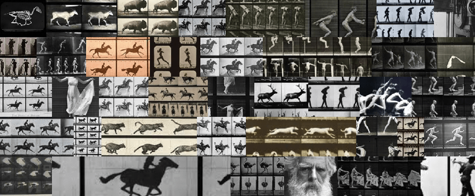 Eadweard Muybridge