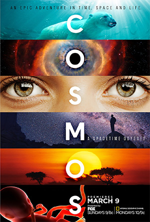 Cosmos