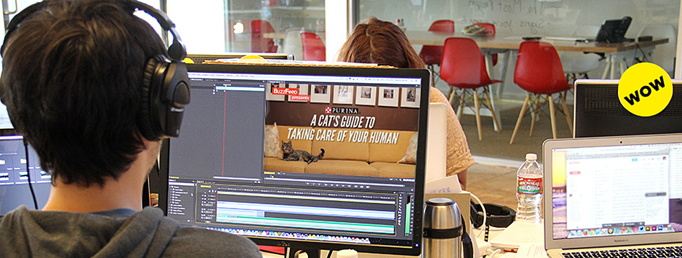 Vídeos produzidos 'dentro de casa', pelo time liderado por Ze Frank