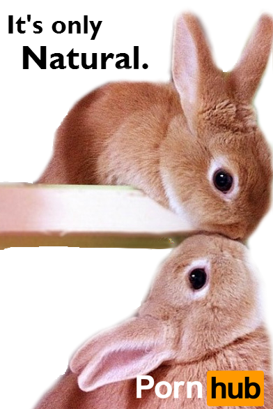 tumblr-sfw-campaign3