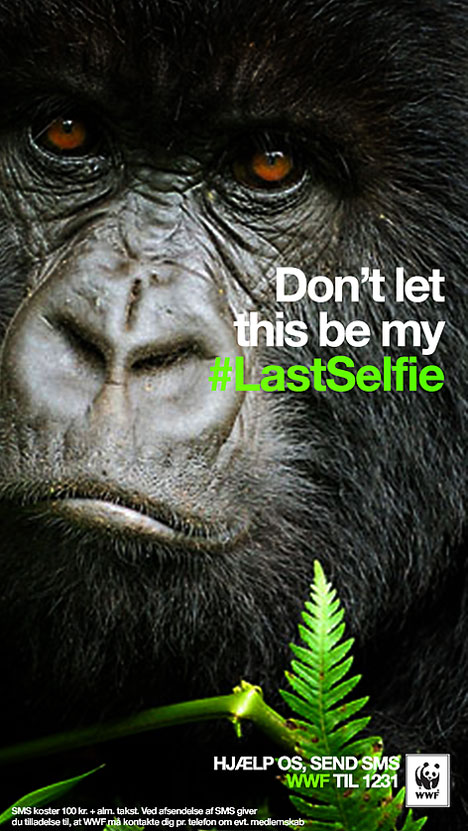 WWF-lastselfie-dk-gorilla
