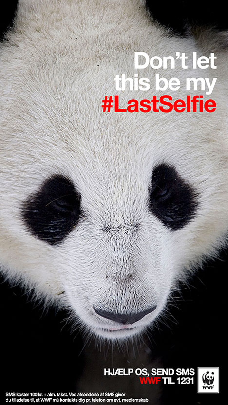 WWF-lastselfie-dk-panda