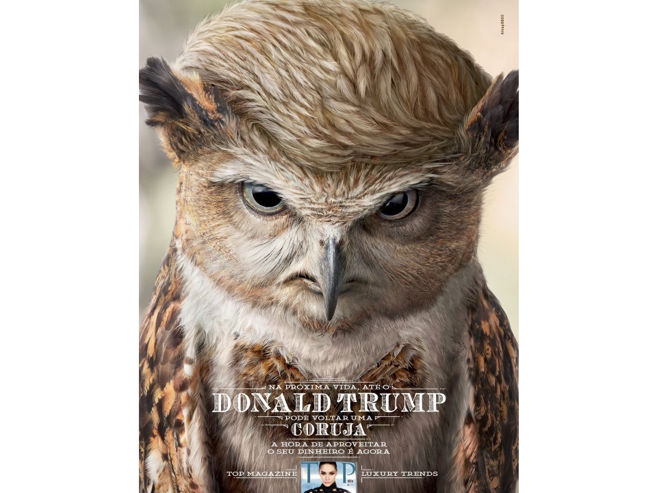 960x720_ANUN_TOP_MAGAZINE_DONALD_TRUMP_menor