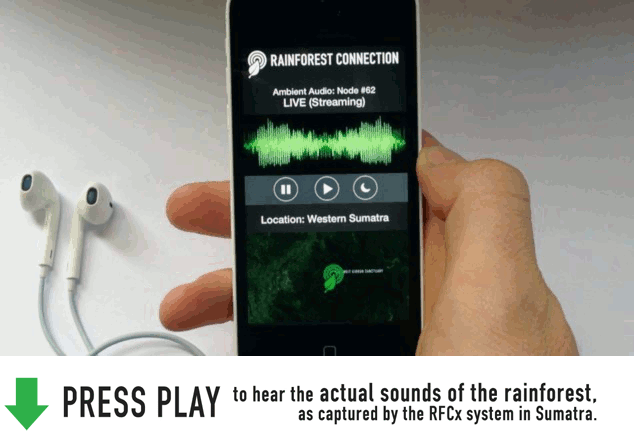 rainforest-connection-som