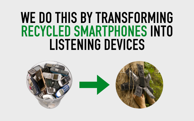 rainforest-connection