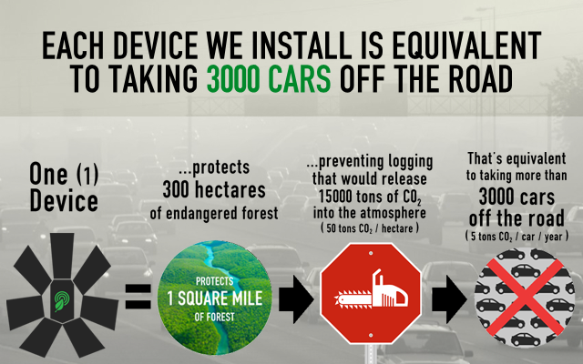 rainforest-equivalencia