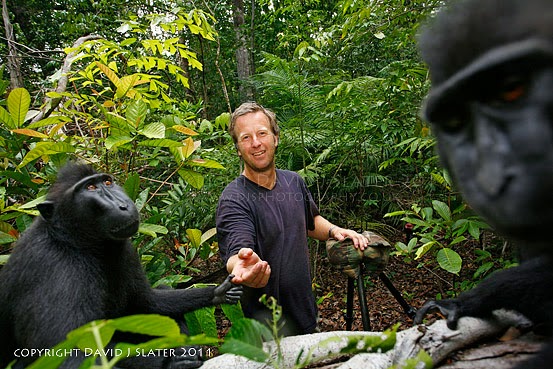 David Slater aparece em algumas das fotos