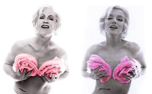 Marilyn, de Bert Stern