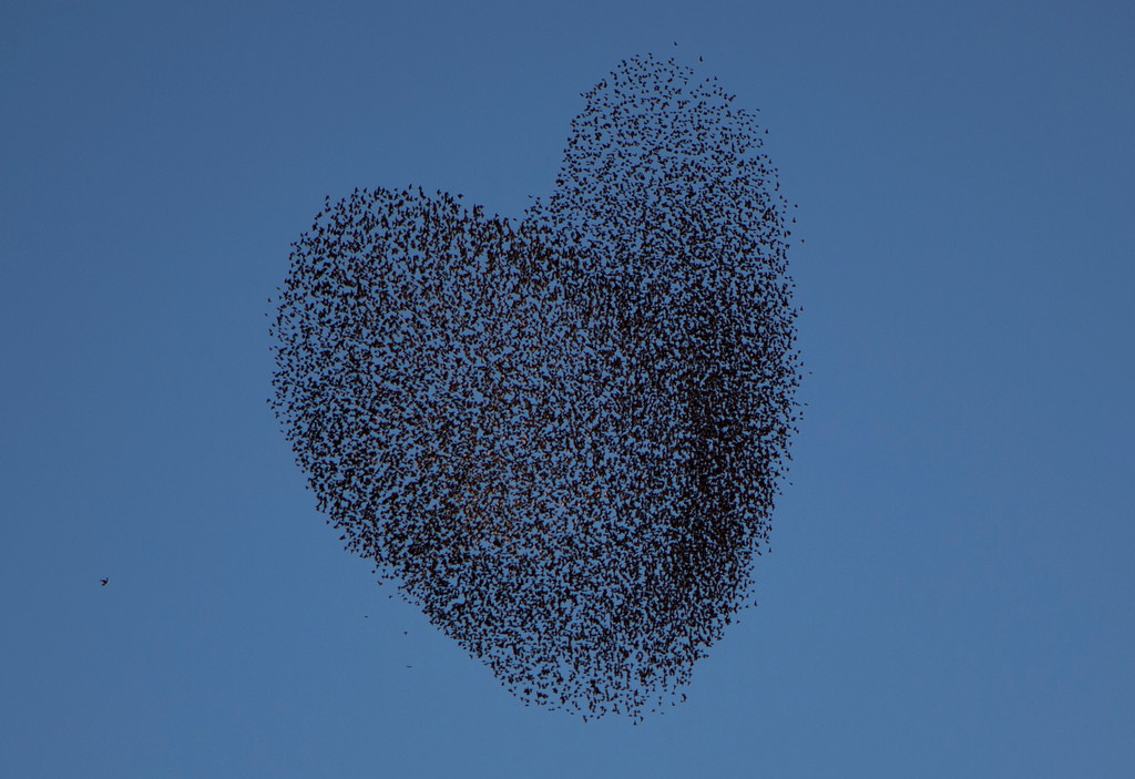 AFP PHOTO/MENAHEM KAHANA/AFP/Getty Images"