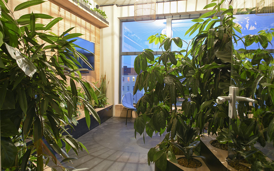 Uma das diversas salas de reunião, o Green Room é um espaço para conversar rodeado de plantas. O áudio é de passarinhos e uma gaiola vazia serve como molde luminária