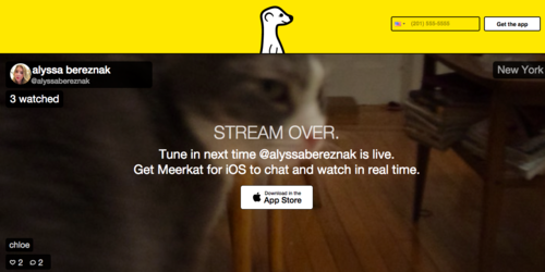 meerkat-app-tela2