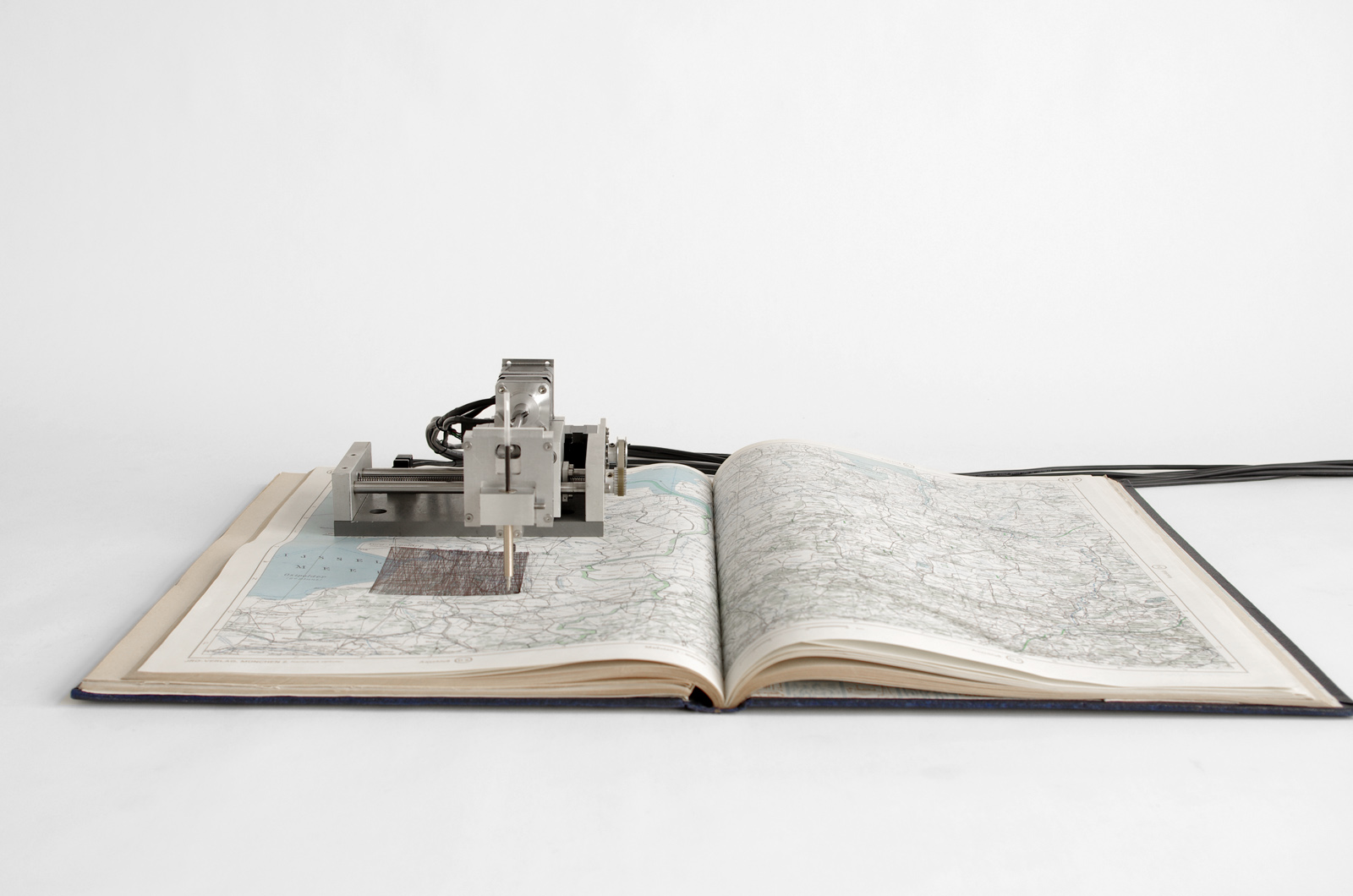 IMGP7999_bear2_small