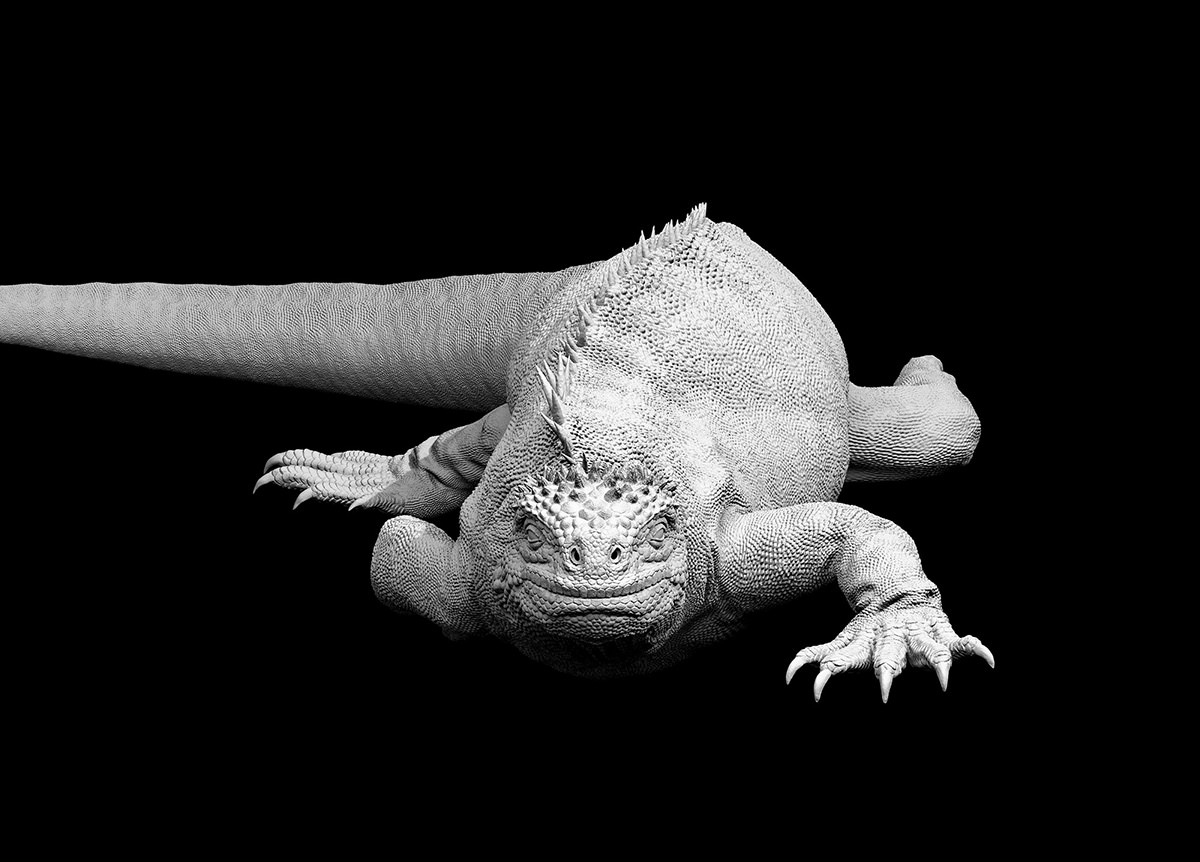 60c28164b5fde966c23747c0a3741643