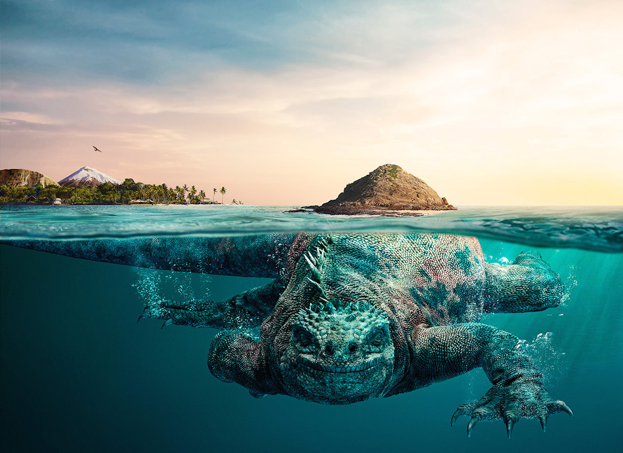 acd416cf6c0b978edb8f27e9e9bcfd3e