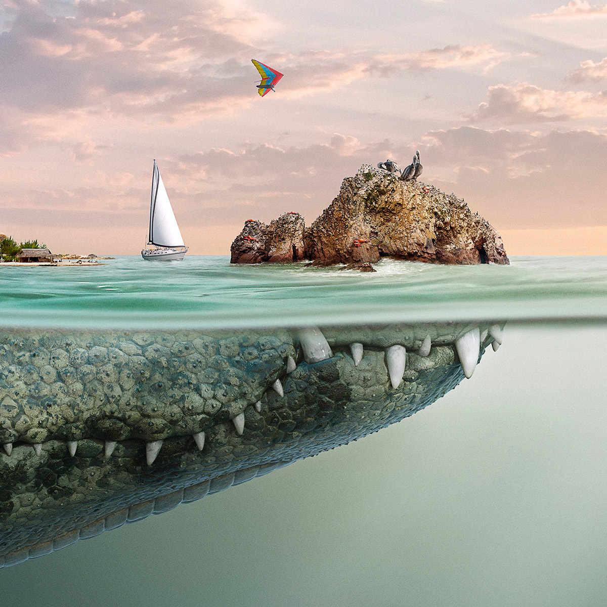 cae154be97648beadf7cc27bd508533b