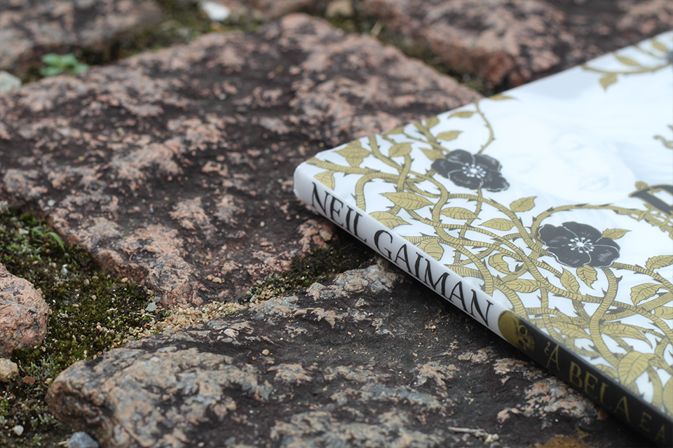 A Bela e a Adormecida tem roteiro de Neil Gaiman e ilustrações de Chris Riddell (Foto: Anna Schermak)