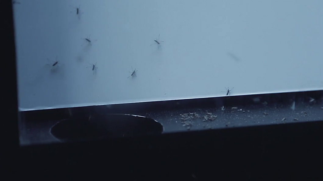 painel-mata-mosquito2