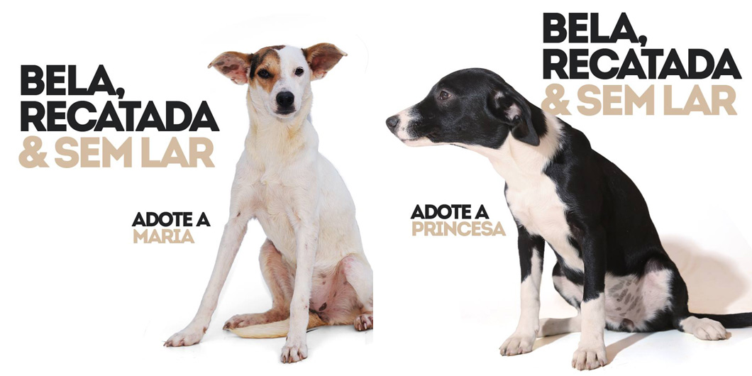 Bela, Recatada e Sem Lar