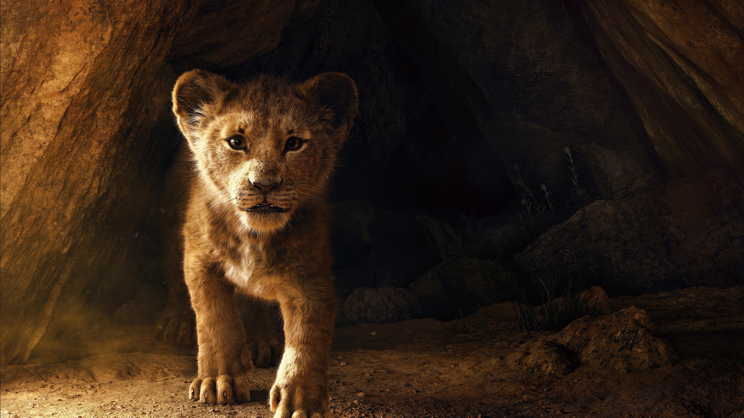 Capa - Remake de “O Rei Leão” sofre para escapar da nostalgia auto-imposta