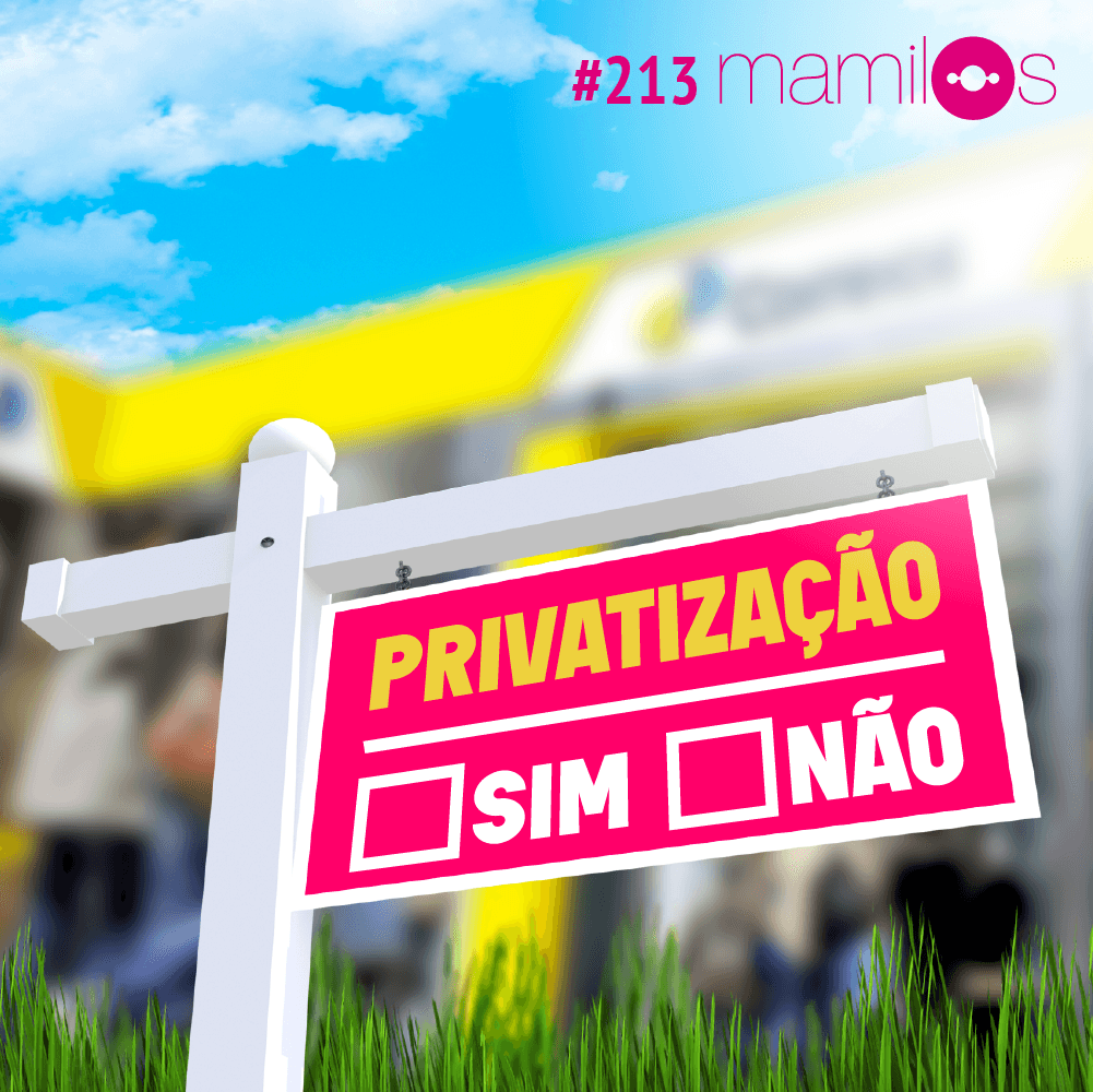 Capa - Privatização: sim ou não?