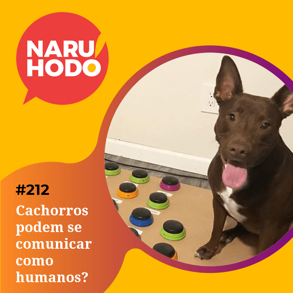 Capa - Cachorros podem se comunicar como humanos?