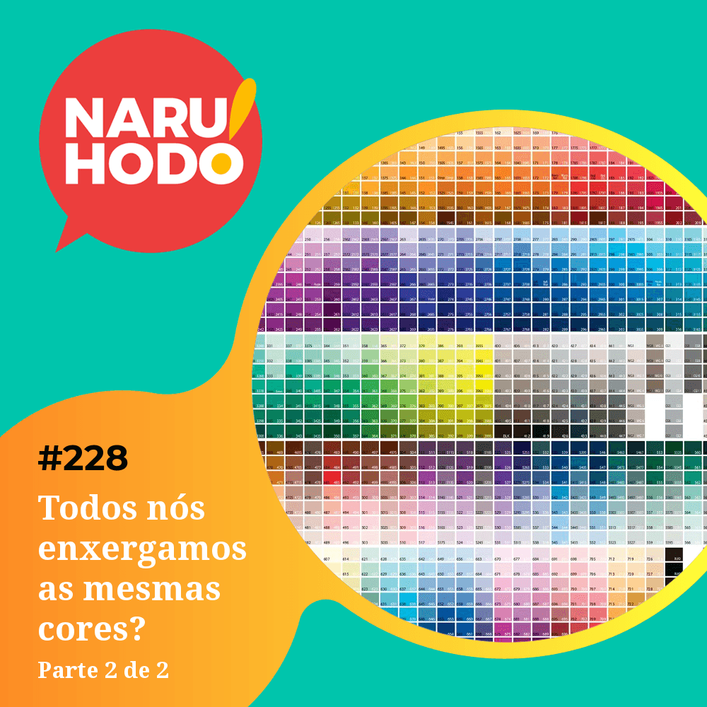 Capa - Todos nós enxergamos as mesmas cores? - Parte 2 de 2