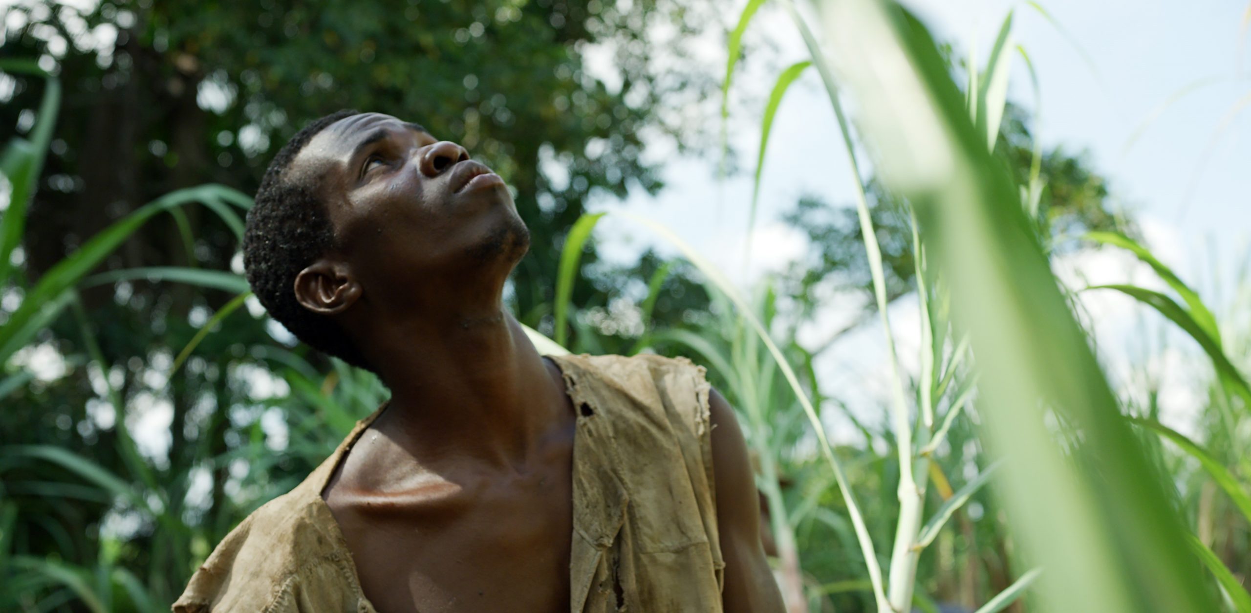Capa - Provocante, “Zombi Child” renega força das próprias imagens