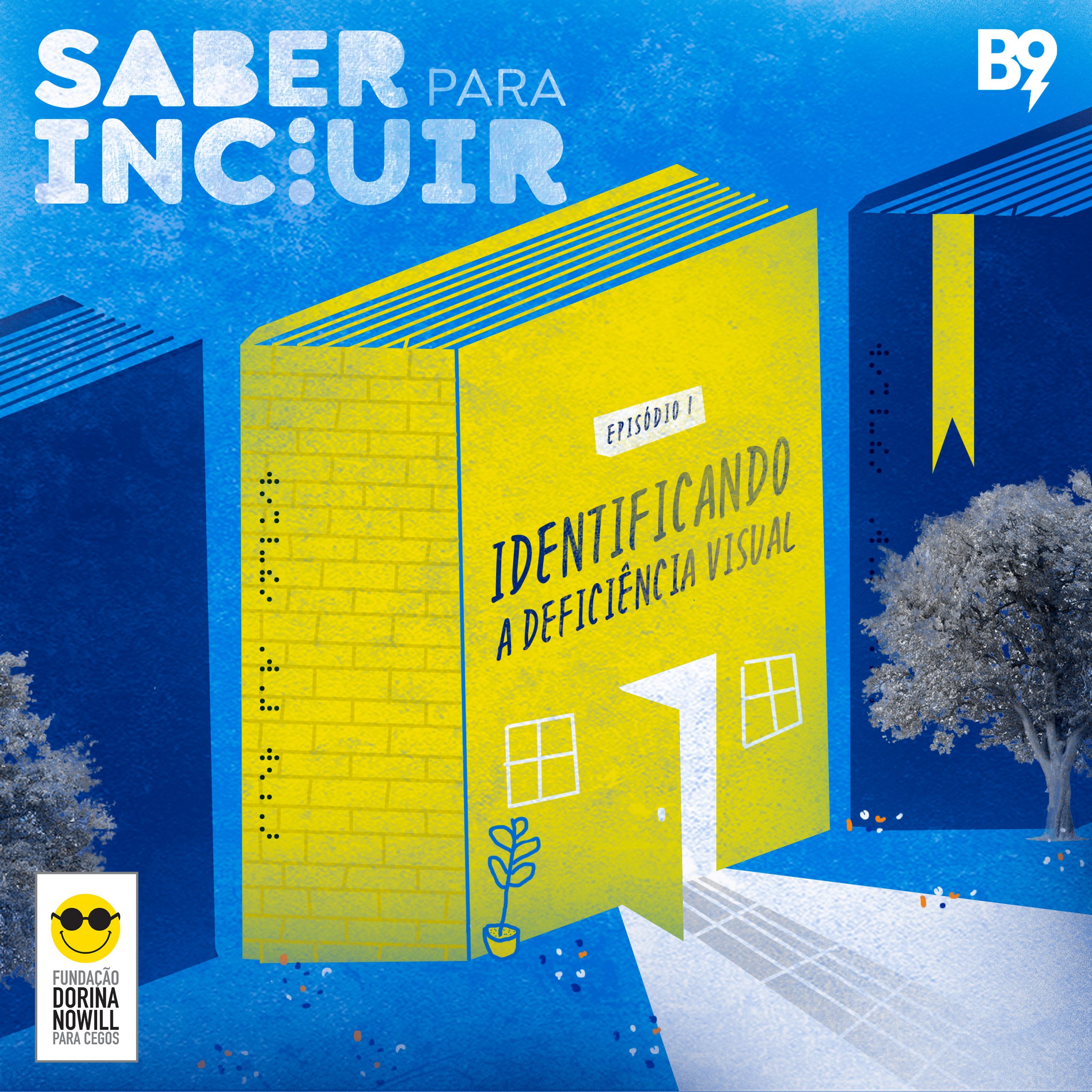 Capa - Identificando a deficiência visual