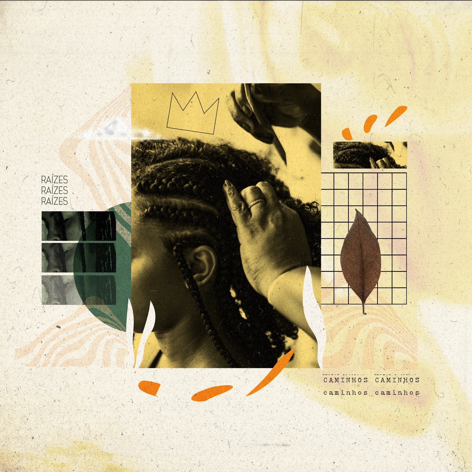 Capa - Raízes