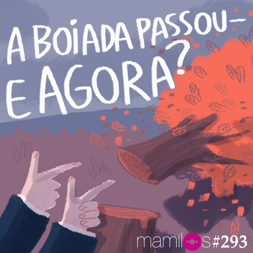 Capa - A boiada passou - e agora?