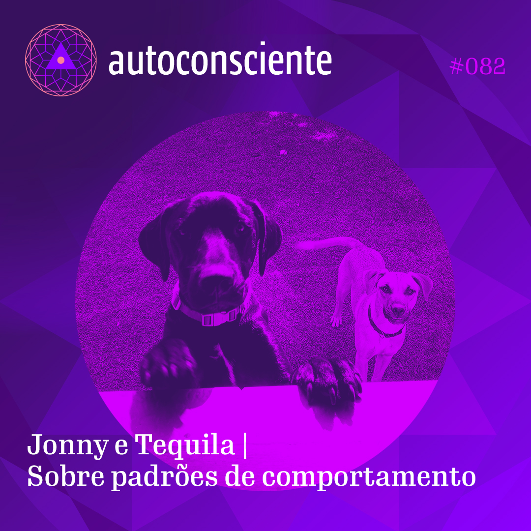 Capa - Jonny e Tequila | Sobre padrões de comportamento