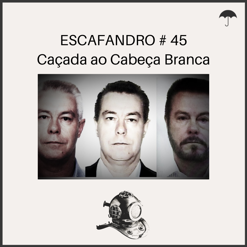Capa - Caçada ao Cabeça Branca
