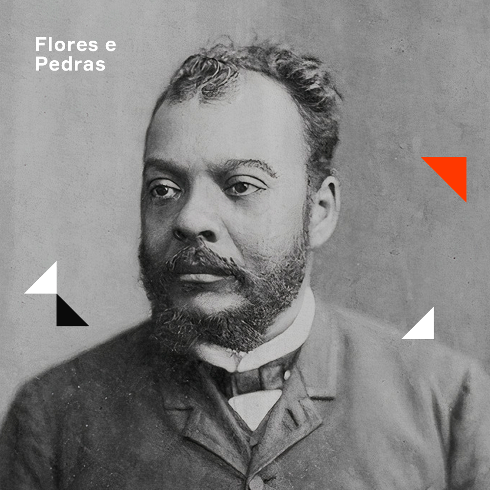 Capa - Flores e Pedras