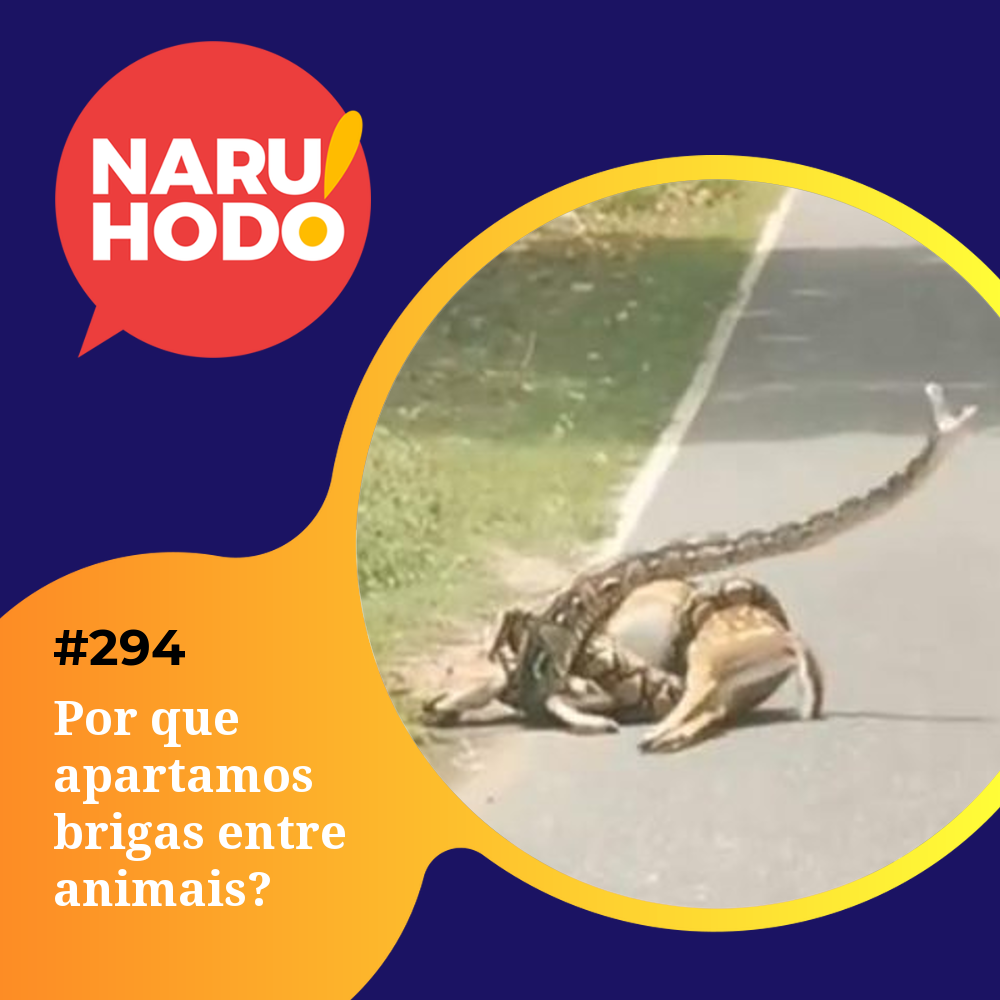 Capa - Por que apartamos brigas entre animais?