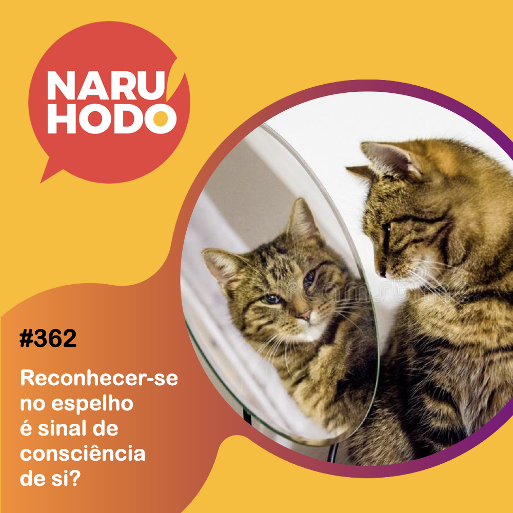 Capa - Reconhecer-se no espelho é sinal de consciência de si?