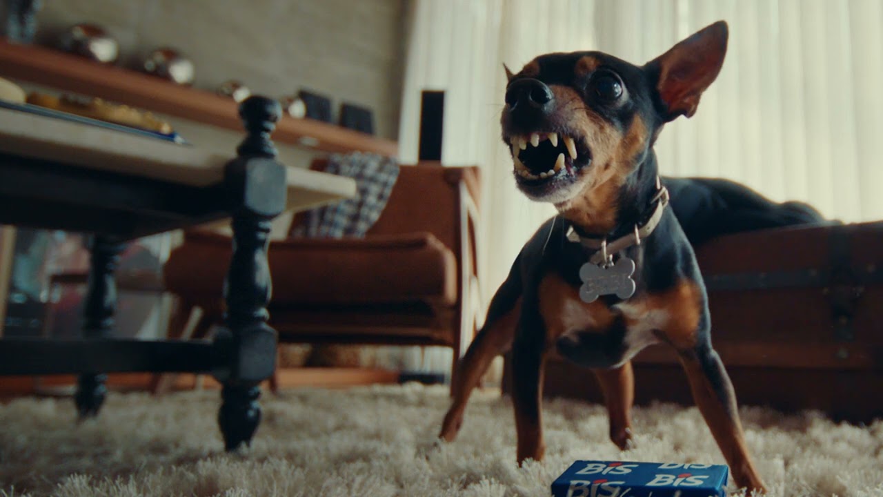 Capa - YouTube Works 2023: com domínio de Mondelēz, plataforma celebra o melhor da publicidade no ano