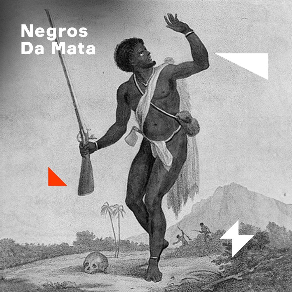 Capa - Palmares | 1. Negros da mata